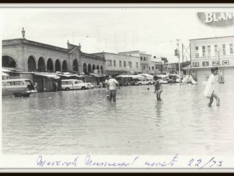 10418332_434161860091822_2370164628097057642_n