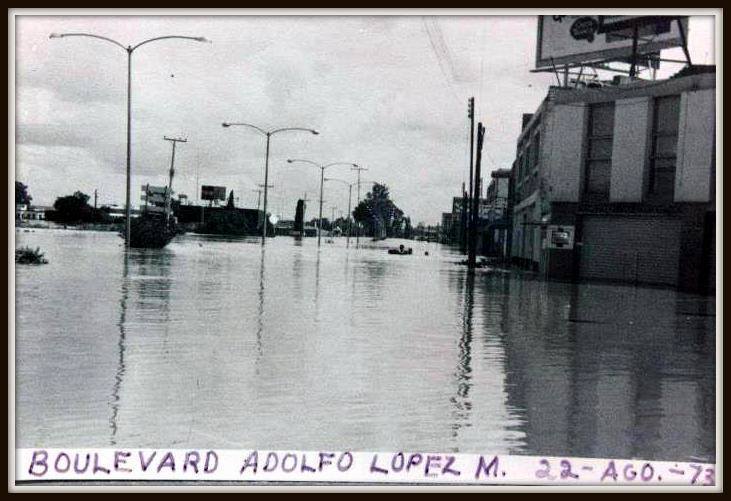 11043110_427938427380832_3492155548160734522_n