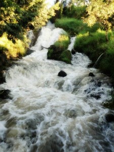 1391514_10201173443953242_951697604_n