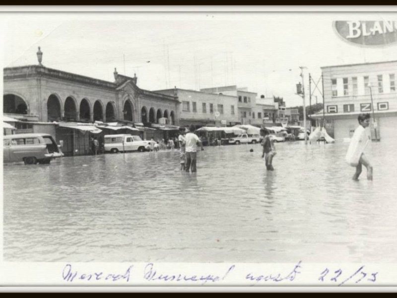 10418332_434161860091822_2370164628097057642_n