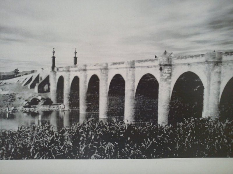 283861_2253209700512_4495385_n