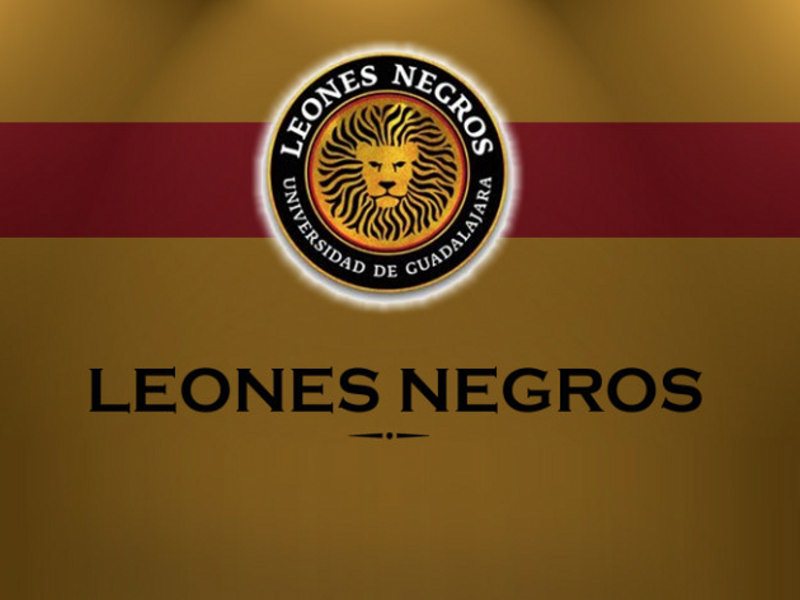 leones-negros-770x472