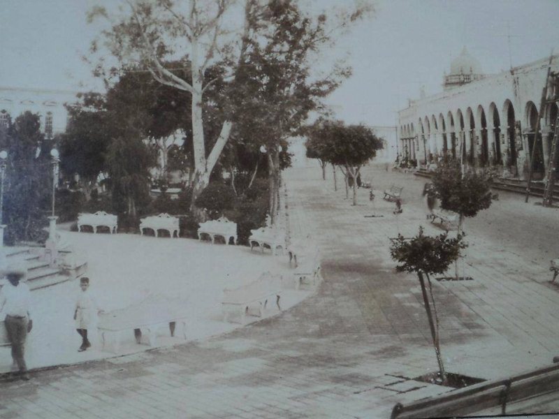 COLABORACION DE ARTURIN (como era nuestro jardin)_001