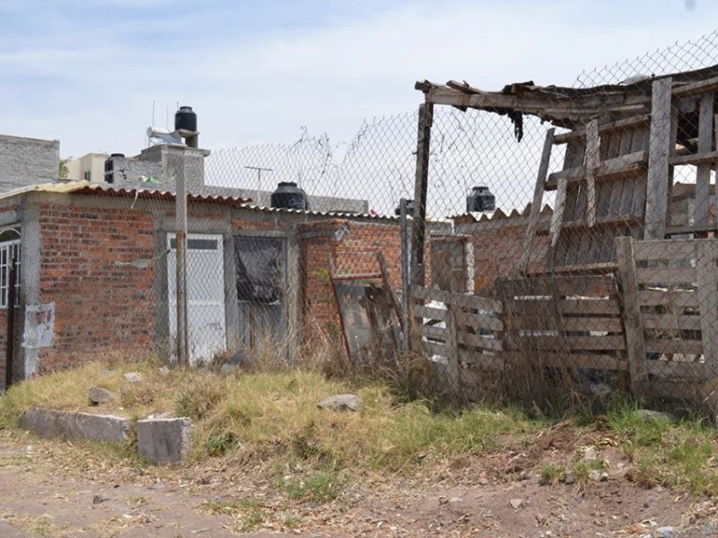 13118899_786090814868500_1480513159190466744_n