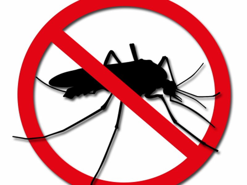 13232884_798858660258382_3911660772043479155_n