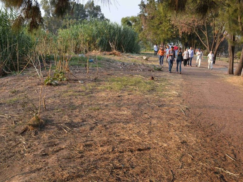 13245489_799939970150251_4561161590955801795_n