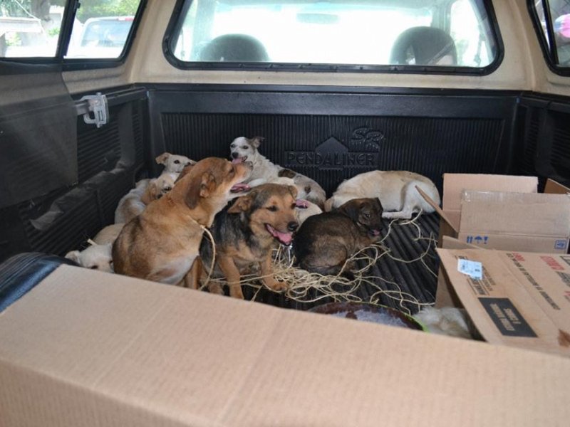 13307217_803342303143351_7189721566643721095_n