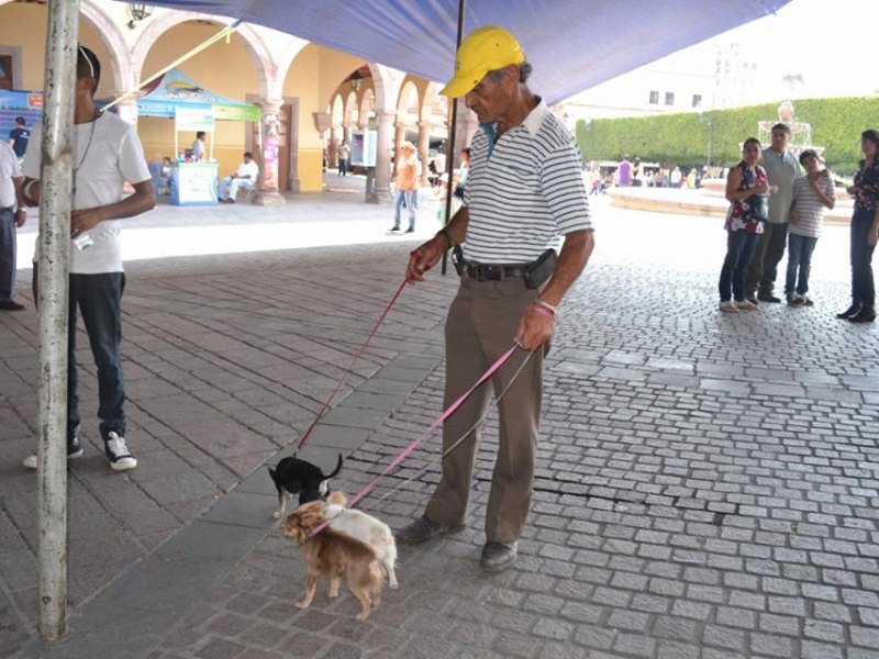 13332798_803342319810016_7671859005195763747_n