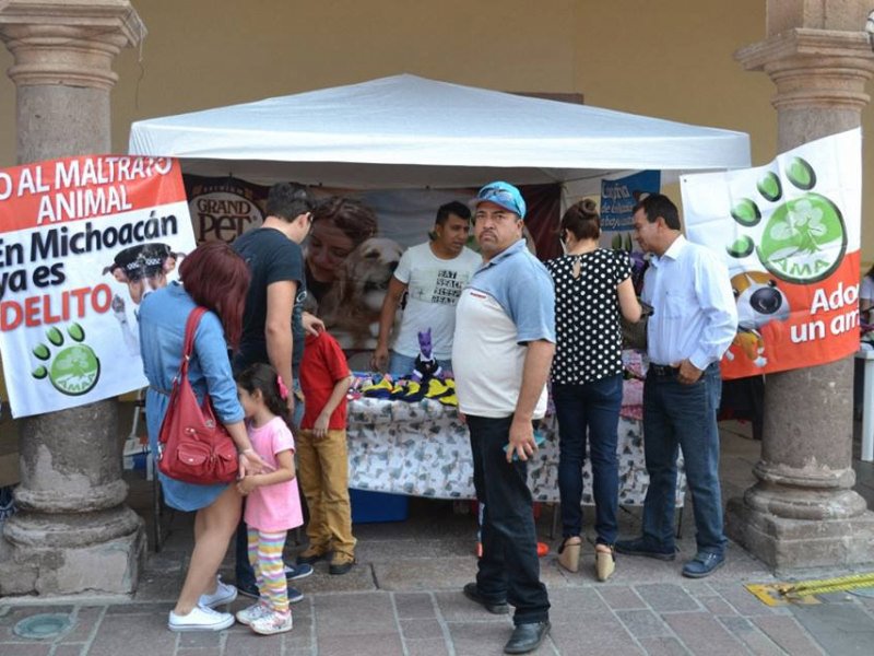 13332879_803342433143338_1035145182710599102_n