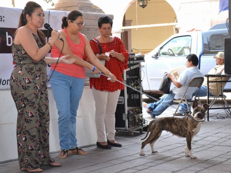 13343125_803342399810008_681937630948612385_n