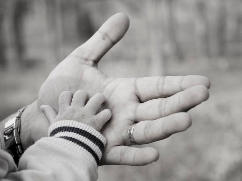 13506997_813720022105579_1632735319053323033_n