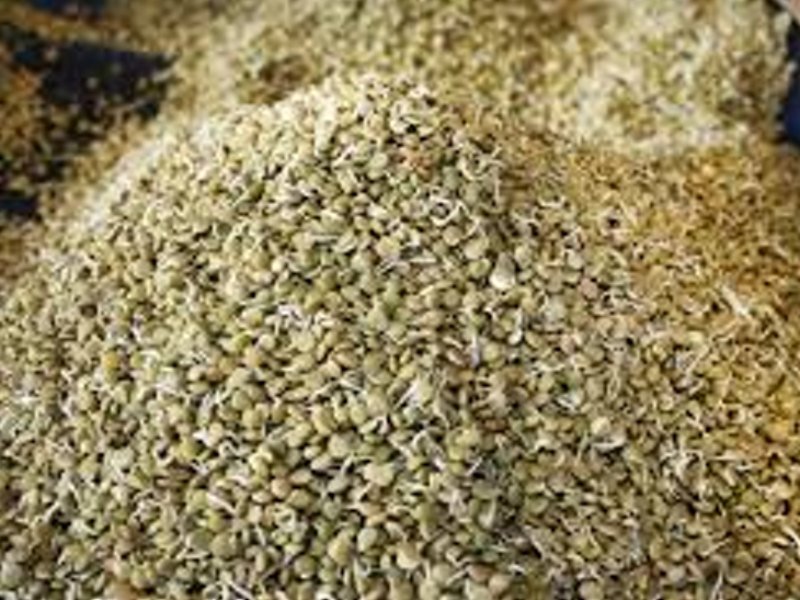 lenteentejasjas1457er