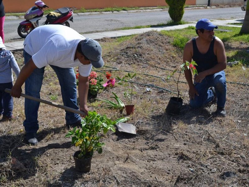 14358721_868421859968728_5659774716809496010_n