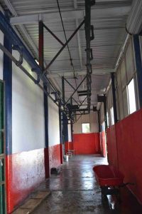 15042192_904091083068472_1225718123654191821_o