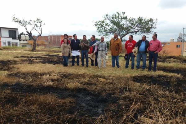 15078810_908187769325470_7892750390485408896_n